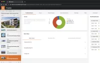 ProjektPRO neue Grafik im Management