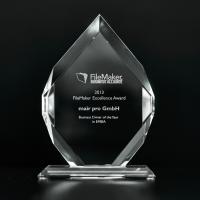 FileMaker Award 2013