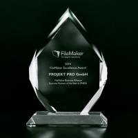 FileMaker Award 2014