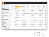 Screenshot Projekte im Management bei PROJEKT PRO.